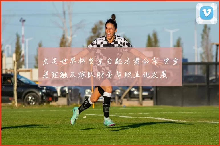 女足世界杯奖金分配方案公布 奖金差距触及球队财务与职业化发展