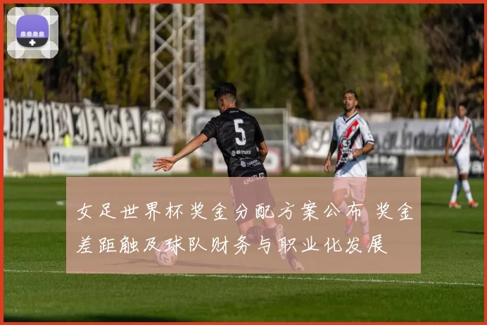女足世界杯奖金分配方案公布 奖金差距触及球队财务与职业化发展